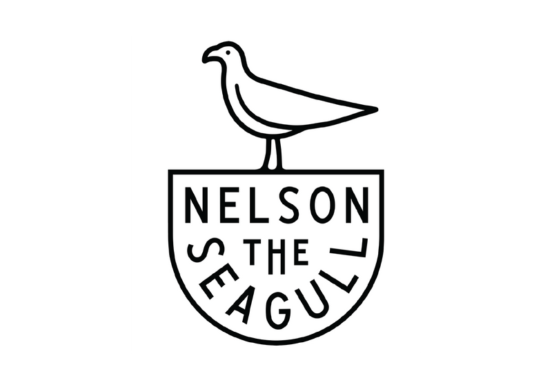 p-a-href-https-www-nelsontheseagull-com-nelson-the-seagull-a-p